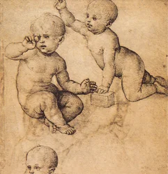Studie van cherubs